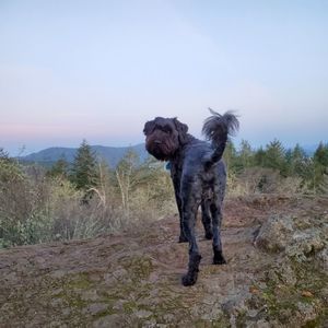 Meet your Posher, Annie